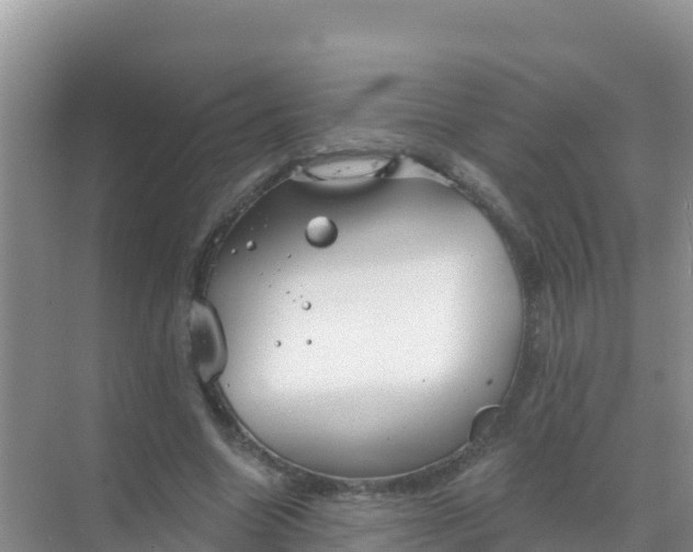 X0000069360538200605262001