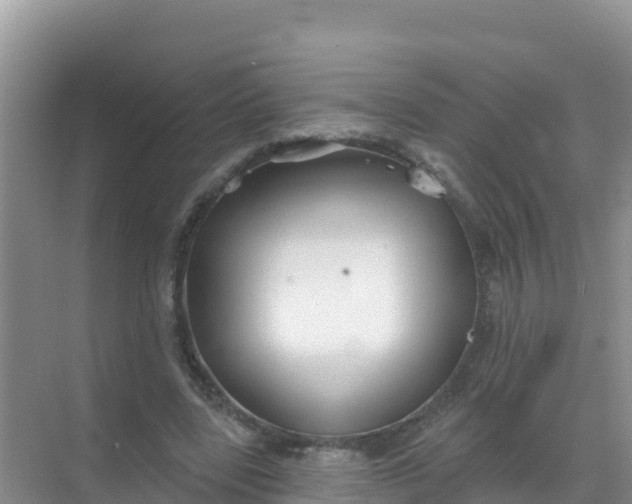 X0000069360539200605262001