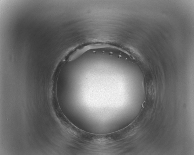 X0000069360540200605262001