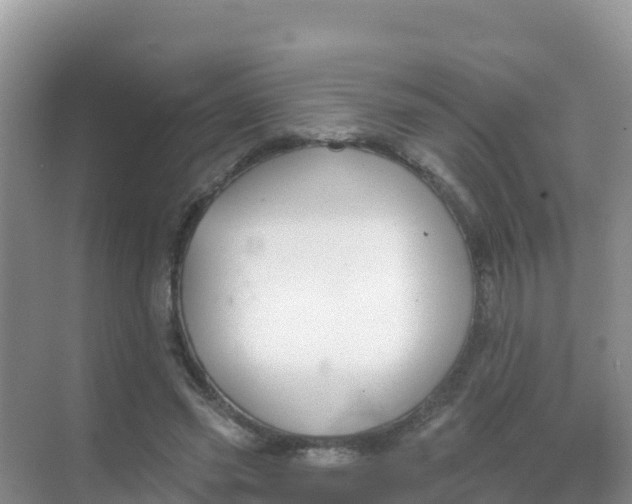 X0000069360541200605262001