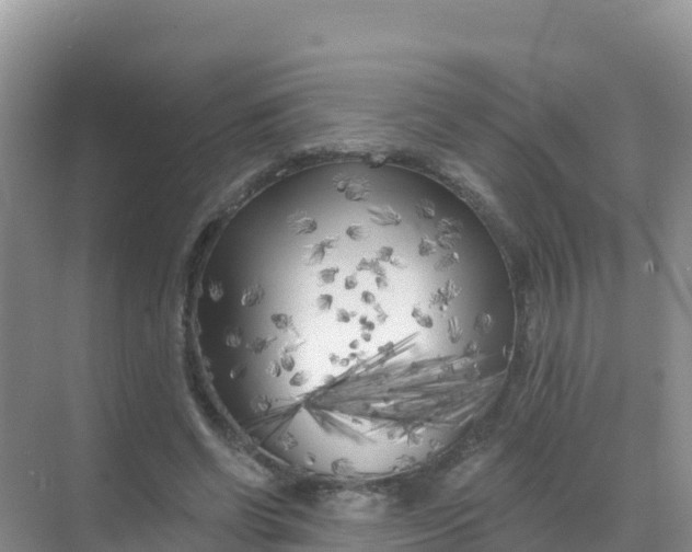 X0000069360542200605262001