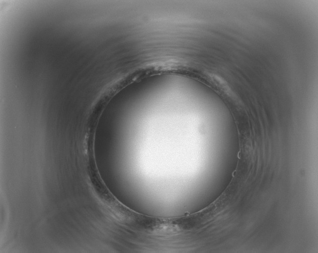 X0000069360543200605262001