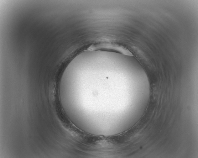 X0000069360544200605262001