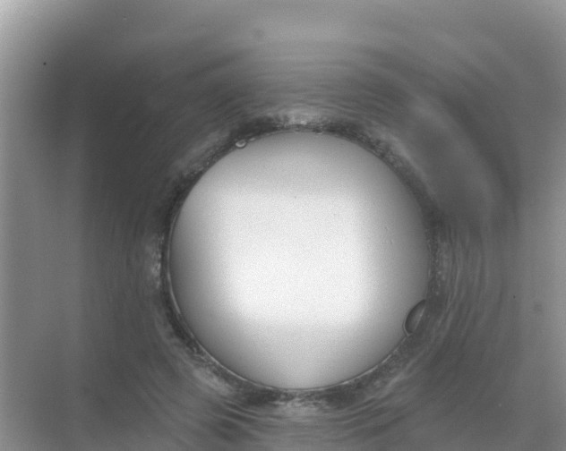 X0000069360545200605262001