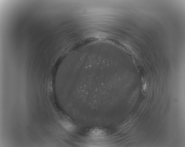 X0000069360547200605262001