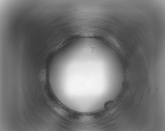 X0000069360549200605262001