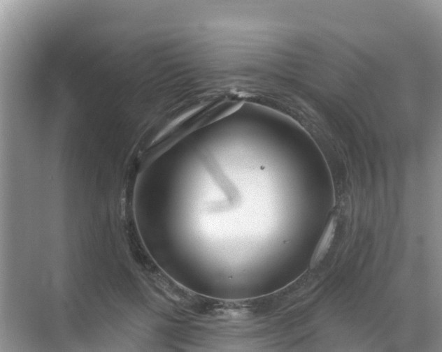 X0000069360552200605262001