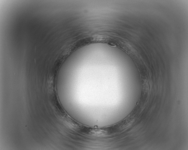 X0000069360557200605262001