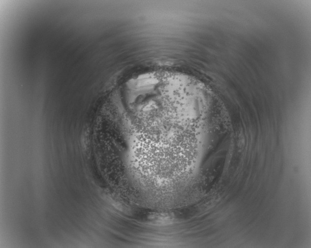 X0000069360559200605262001