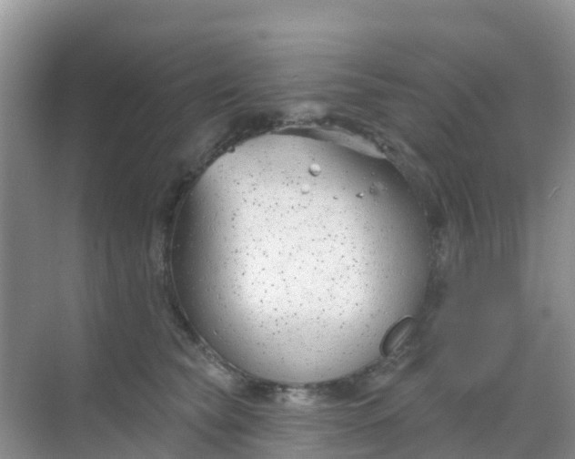 X0000069360565200605262001