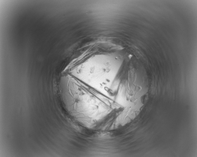 X0000069360569200605262002