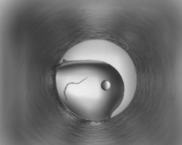 X0000069360570200605262002