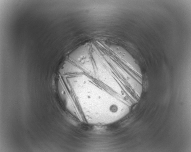 X0000069360573200605262002