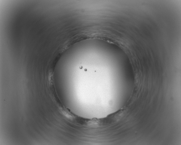 X0000069360574200605262002