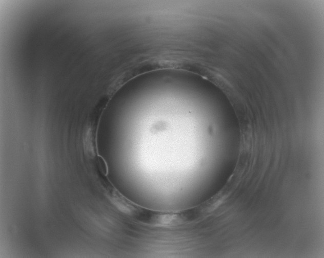 X0000069360575200605262002