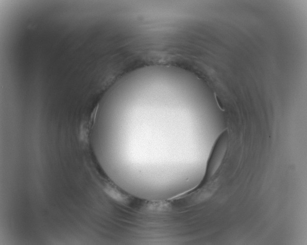 X0000069360576200605262002