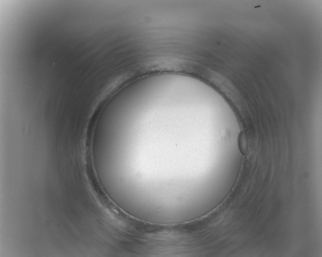 X0000069360578200605262001