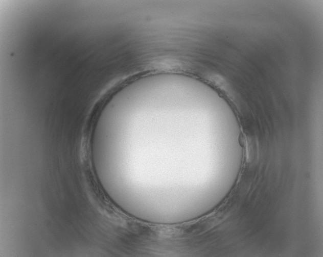 X0000069360579200605262001