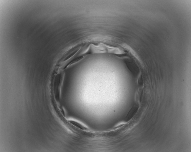 X0000069360581200605262001