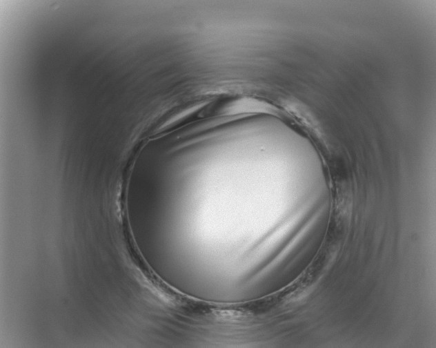 X0000069360585200605262001