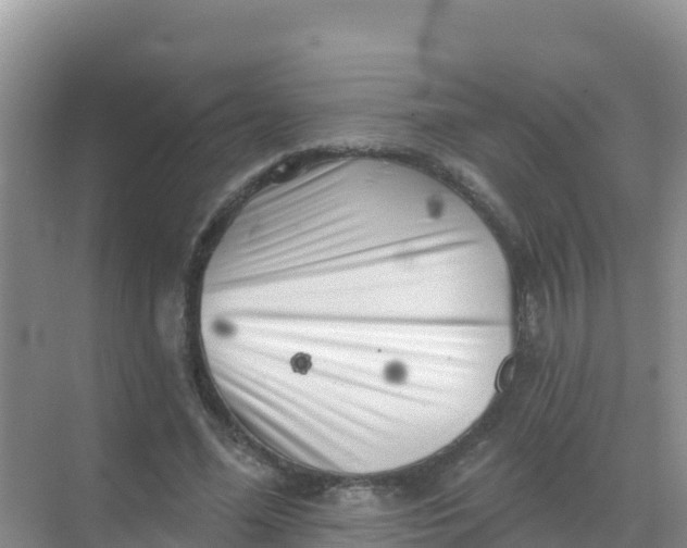 X0000069360588200605262001