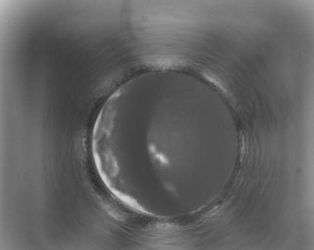 X0000069360590200605262001