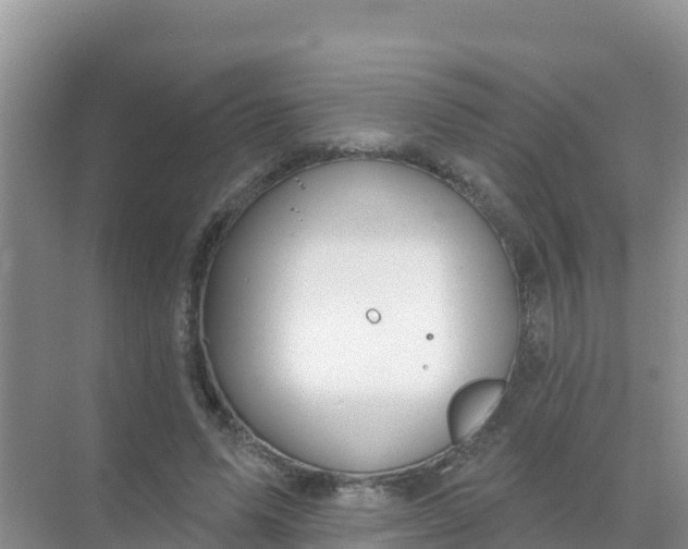 X0000069360591200605262001