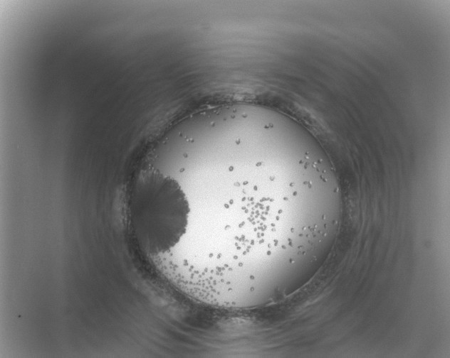 X0000069360594200605262001