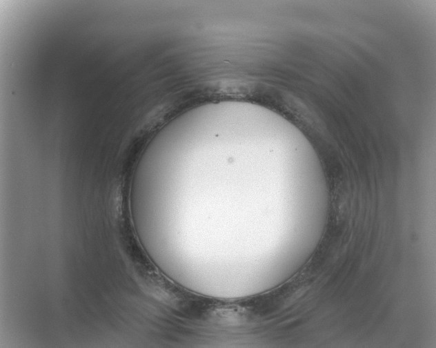 X0000069360595200605262001