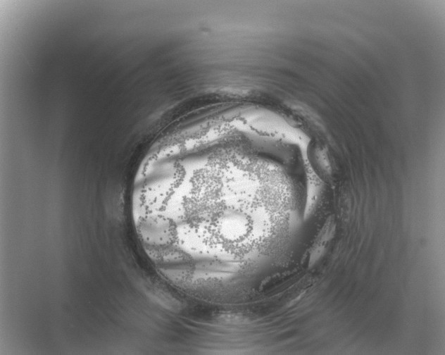 X0000069360596200605262001