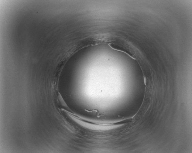 X0000069360601200605262000