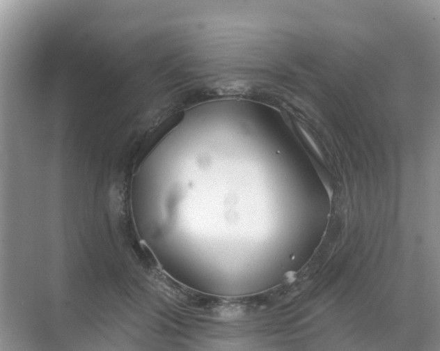 X0000069360604200605262000