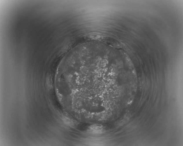 X0000069360606200605262000