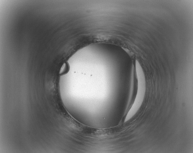 X0000069360608200605262000