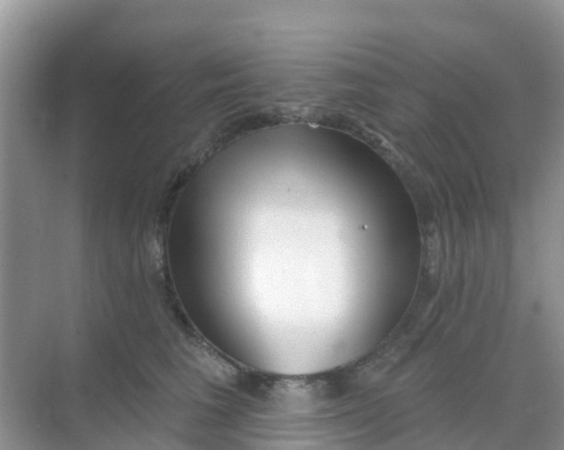 X0000069360613200605262000