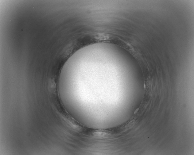 X0000069360614200605262000