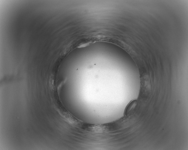 X0000069360615200605262000