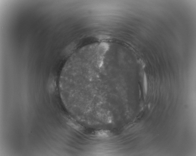 X0000069360618200605262000