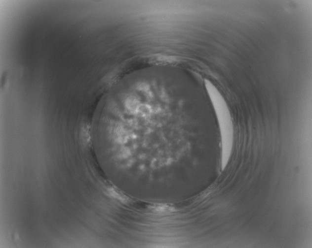 X0000069360621200605262000