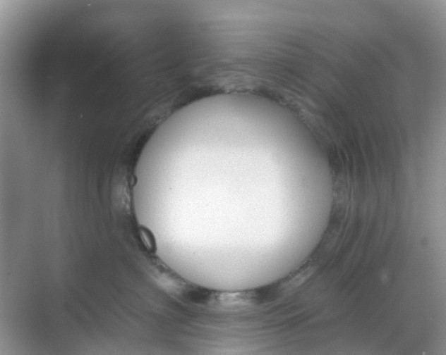 X0000069360622200605262000