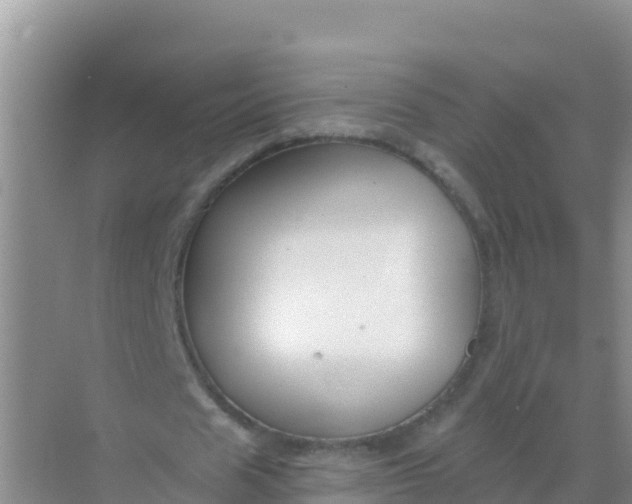 X0000069360625200605261959