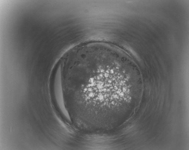 X0000069360626200605261959