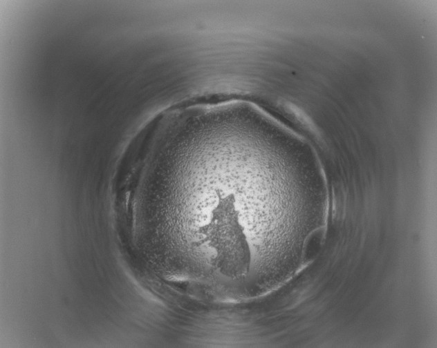 X0000069360627200605261959