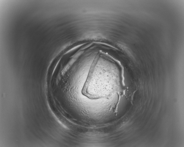 X0000069360630200605261959