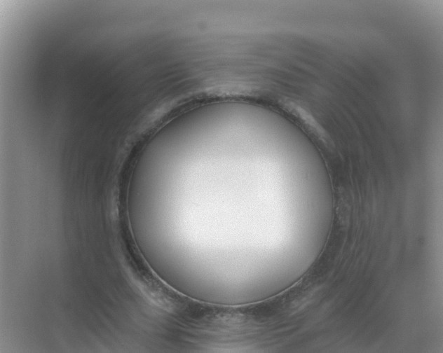 X0000069360631200605261959