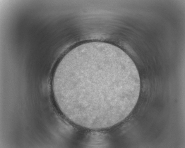 X0000069360632200605261959