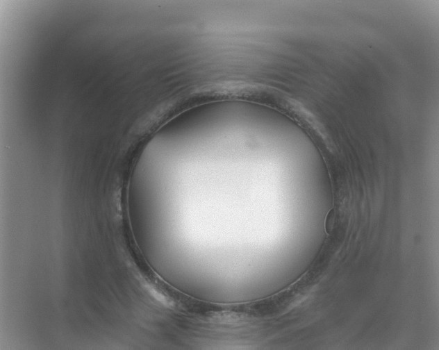 X0000069360633200605261959