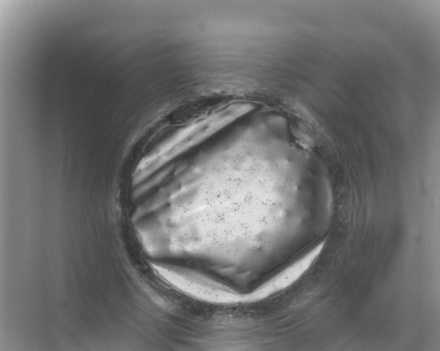 X0000069360634200605261959