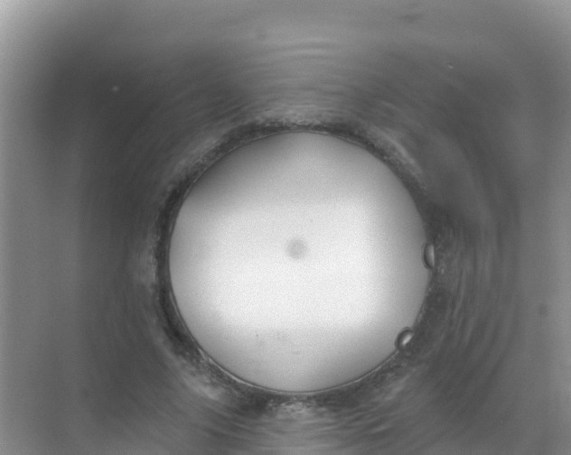 X0000069360635200605261959