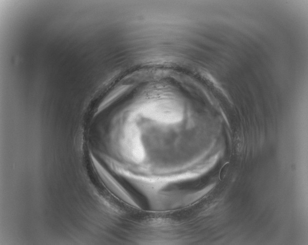 X0000069360637200605261959